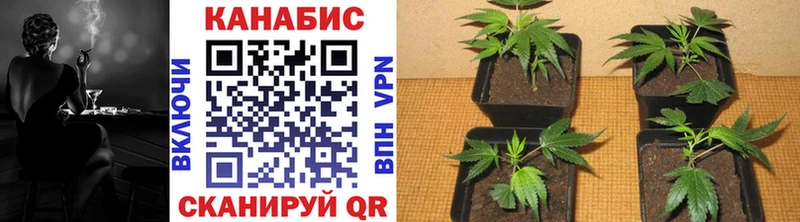Купить наркотики цена Сухой Лог Метамфетамин СОЛЬ АМФЕТАМИН Меф Гашиш