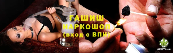эйфоретик Пересвет