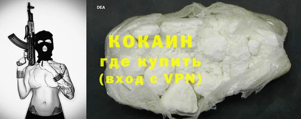 стаф Алексин