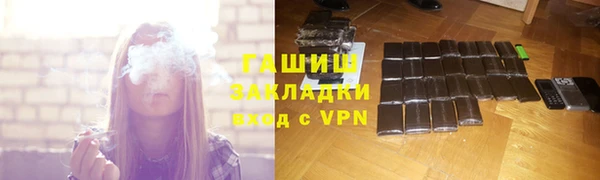 стаф Алексин