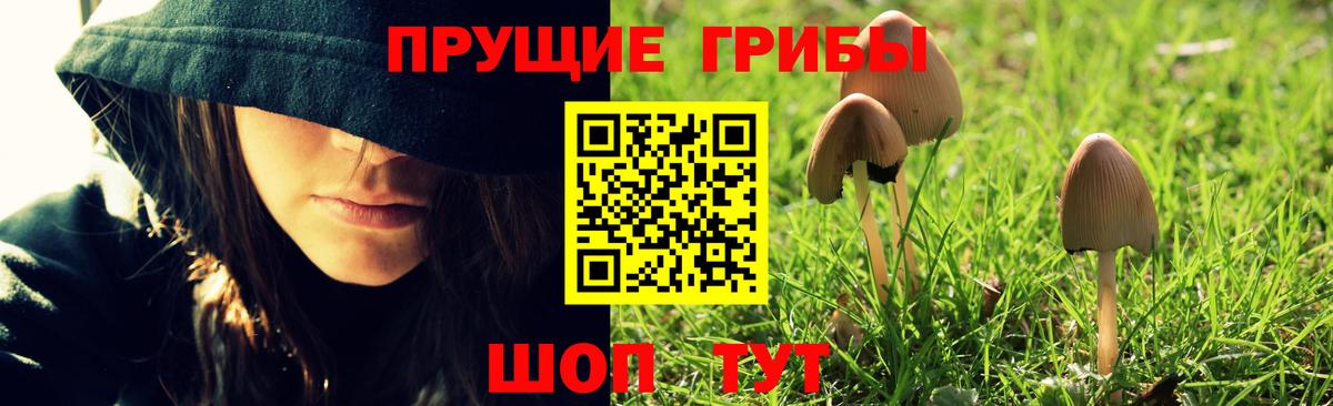 Псилоцибиновые грибы GOLDEN TEACHER Сухой Лог