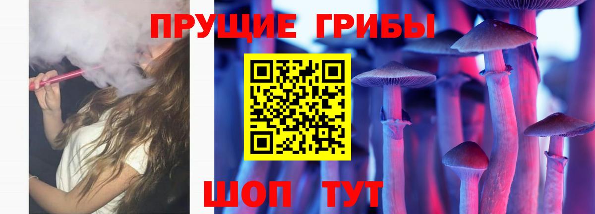 Сухой Лог  наркота  Псилоцибиновые грибы Cubensis  Вход с VPN  Галлюциногенные грибы ЛСД 